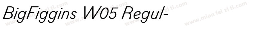 BigFiggins W05 Regul字体转换